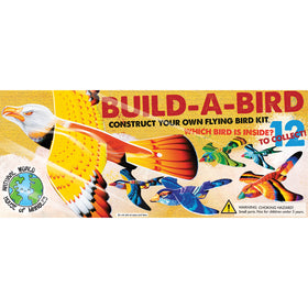 Build-a-Bird Kit