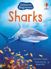 Usborne Beginners Sharks