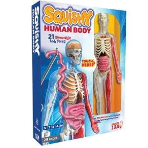 Squishy Human Body