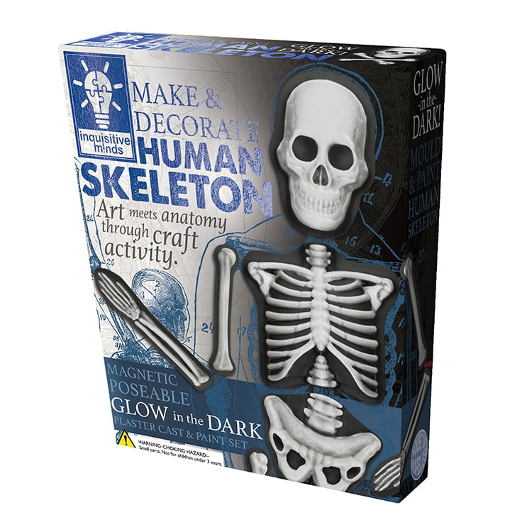 MAKE & DECORATE SET – HUMAN SKELETON