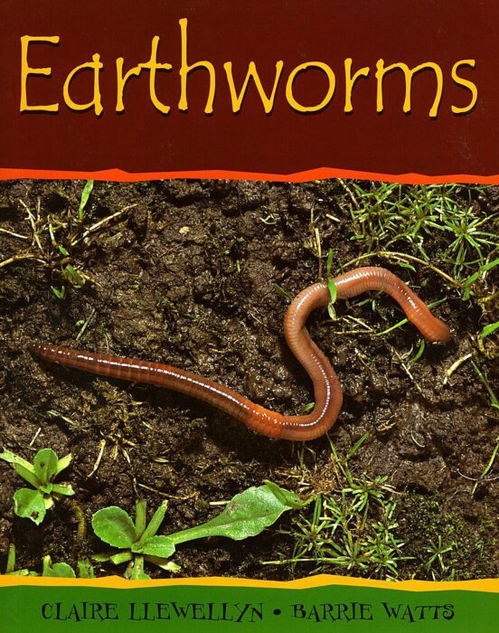 Minibeasts: Earthworms