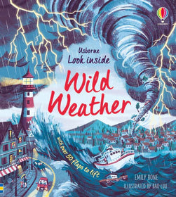 Usborne Look Inside Wild Weather