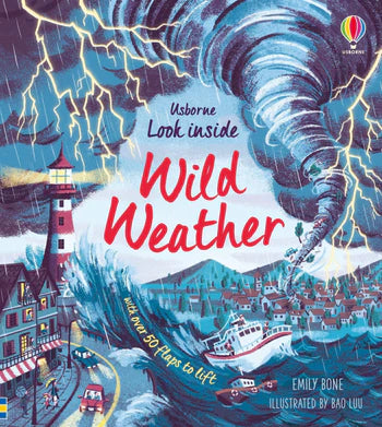 Usborne Look Inside Wild Weather