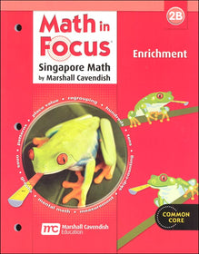 Math in Focus 2B Enrichment