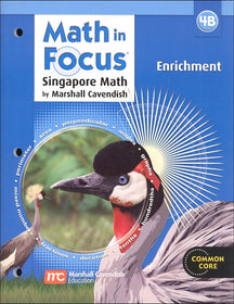 Math in Focus 4B Enrichment