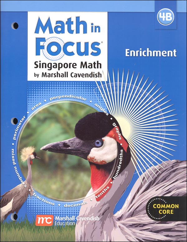 Math in Focus 4B Enrichment