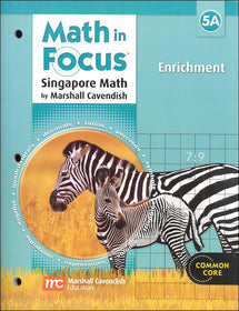 Math in Focus 5A Enrichment