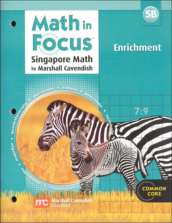 Math in Focus 5B Enrichment