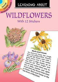 Learning About Wildflowers