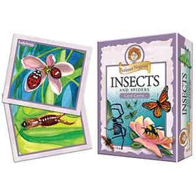 Professor Noggin's Insects and Spiders Card Game