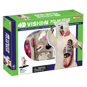 4D Vision Polar Bear Anatomy Model