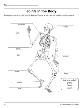 100+ Series: The Human Body Workbook Grades 5-8