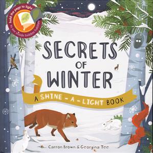 Secrets of Winter - Shine-a-Light-Usborne