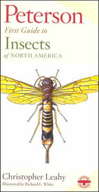 Peterson First Guide: Insects of North America