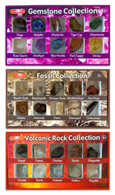 Science Wiz- Fossil Collection