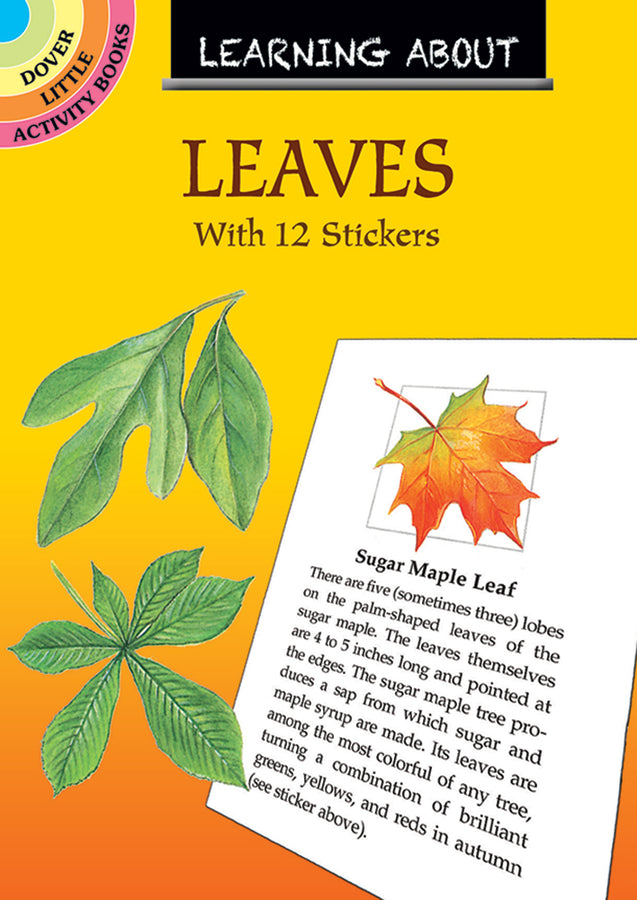 Learning About Leaves