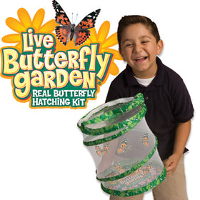 Butterfly Garden