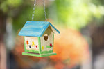 Build A Bird Bungalow, Backyard Birdhouse Kit with Fsc Certified Wood