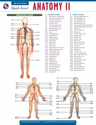 Anatomy II - REA's Quick Access Reference Chart