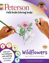 Peterson Field Guide Coloring Book: Wildflowers