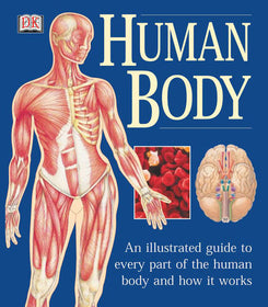 The Human Body Illustrated Guide