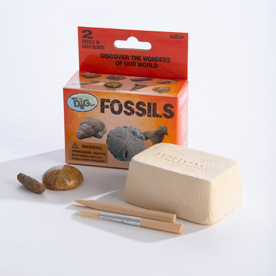 Mini Excavation Kit: Fossils - GeoCentral