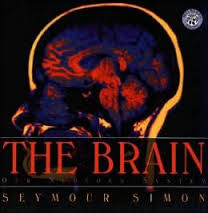 The Brain  by Seymour Simon