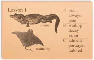 IEW The Phonetic Zoo: Lesson Cards