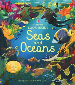 Usborne Look Inside Seas and Oceans