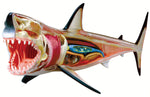 4D Vision Great White Shark Anatomy Model