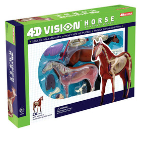 4D Vision Horse Anatomy Model