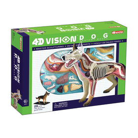 4D Vision Dog Anatomy Model