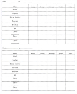 Starline Press Academic Record Book