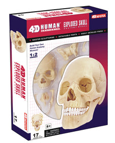 4D Exploded Human Skull Kit