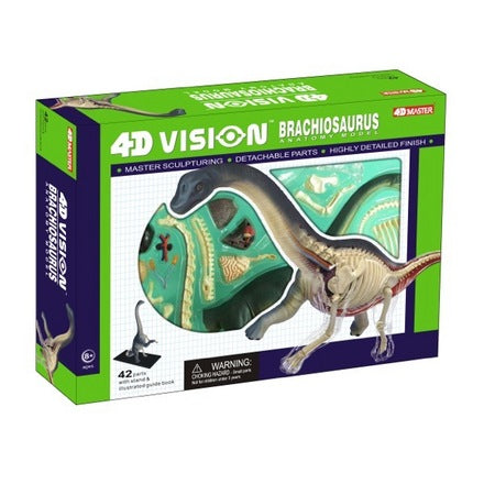 4D Vision Brachiosaurus Anatomy Model