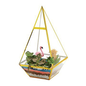 Tropical Terrarium