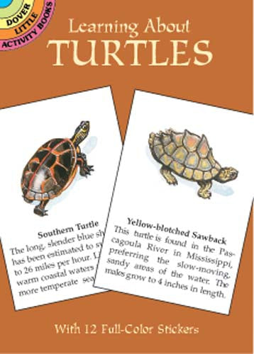 Learning About Turtles