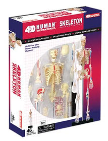 4D Human Skeleton Kit