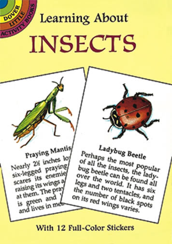 Learning About Insects